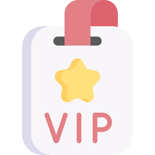 vipパス Special Flat icon