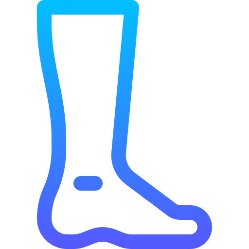 voet Basic Gradient Lineal color icoon