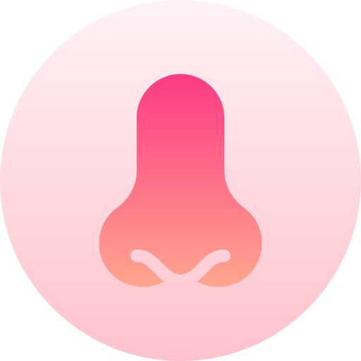 neus Basic Gradient Circular icoon