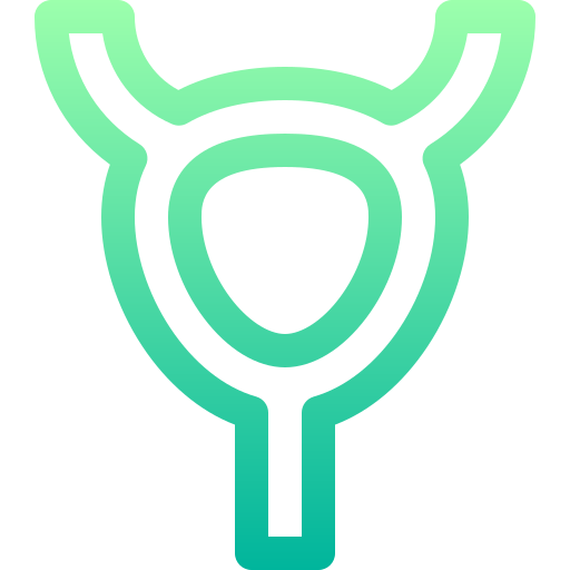 Bladder Basic Gradient Lineal color icon