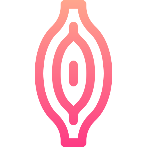 Muscle Basic Gradient Lineal color icon