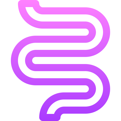 gros intestin Basic Gradient Lineal color Icône