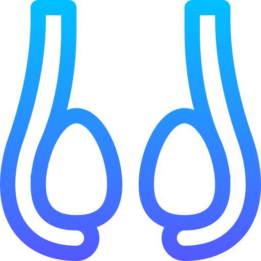睾丸 Basic Gradient Lineal color icon