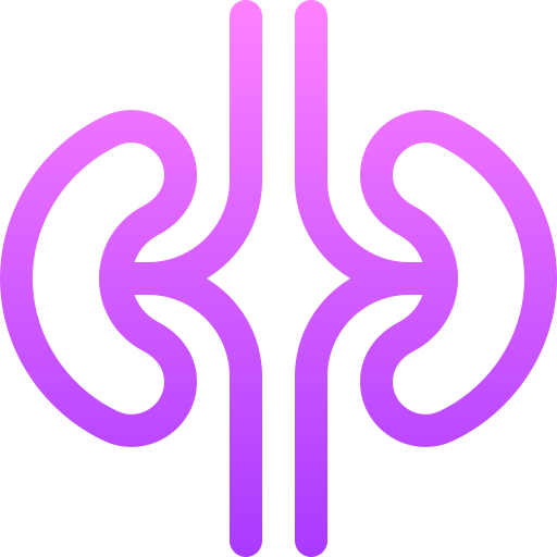 Kidneys Basic Gradient Lineal color icon