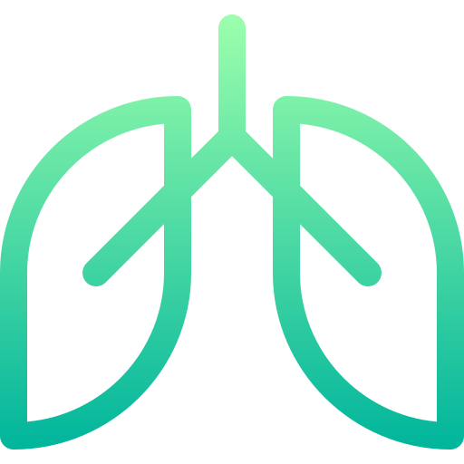 Lungs Basic Gradient Lineal color icon