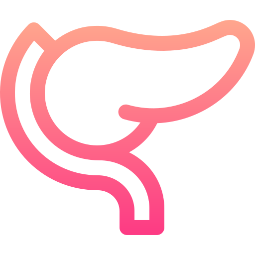 Pancreas Basic Gradient Lineal color icon