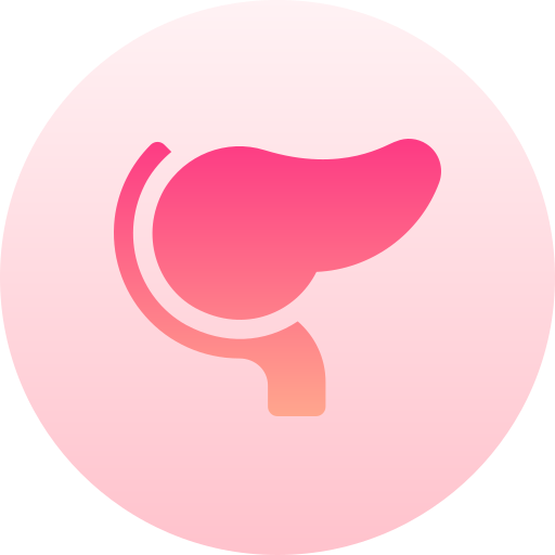 páncreas Basic Gradient Circular icono