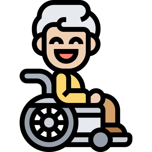 Wheelchair Meticulous Lineal Color icon