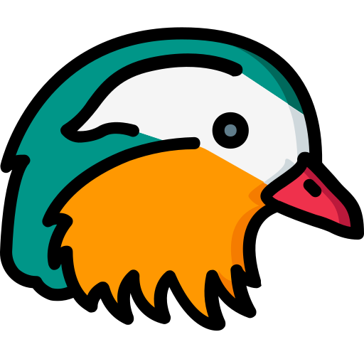 Ducks Basic Miscellany Lineal Color icon