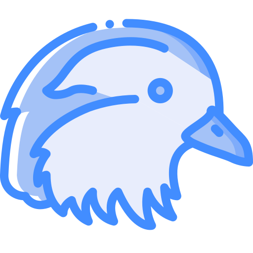 kaczki Basic Miscellany Blue ikona