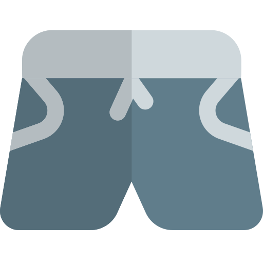 kurze hose Pixel Perfect Flat icon