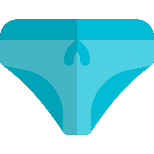 Knickers Pixel Perfect Flat icon