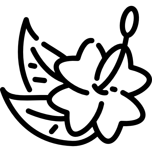flor Special Lineal Ícone