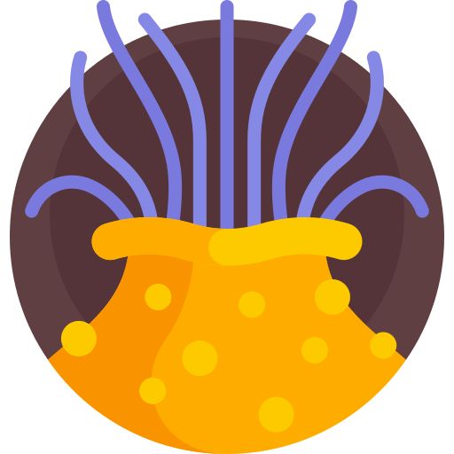 anemone Detailed Flat Circular Flat icon