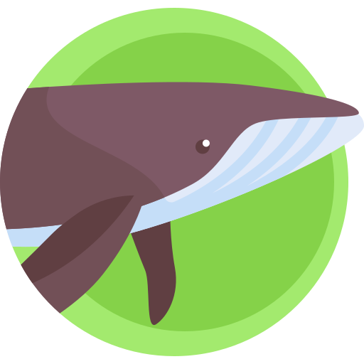 鯨 Detailed Flat Circular Flat icon