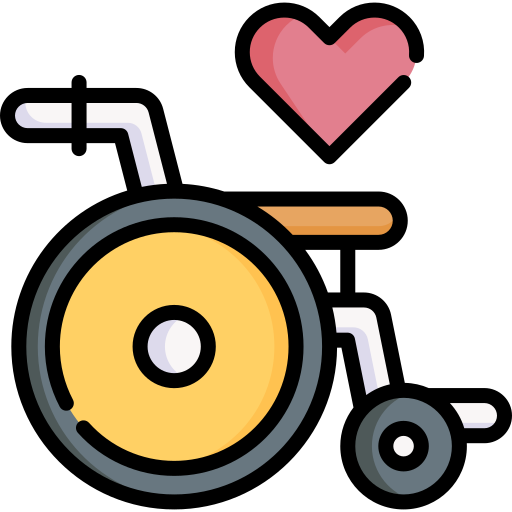 silla de ruedas Special Lineal color icono