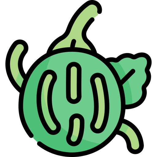 calabaza verde Kawaii Lineal color icono