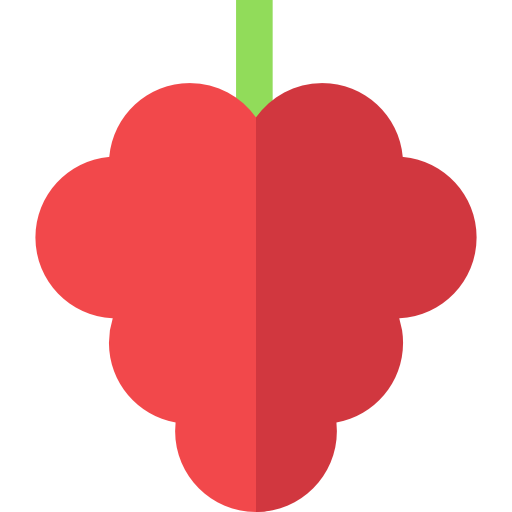 Raspberry Basic Straight Flat icon