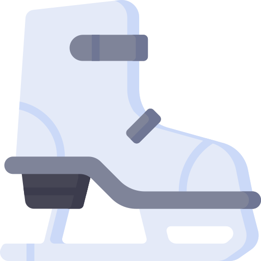 Ice skate Special Flat icon