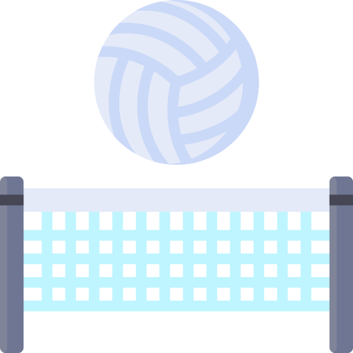 Волейбол Special Flat иконка