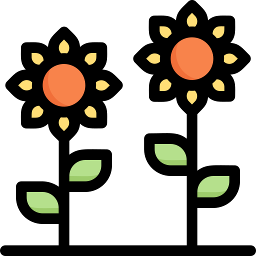 zonnebloemen Generic Outline Color icoon