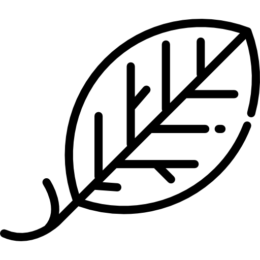 Лист Special Lineal иконка