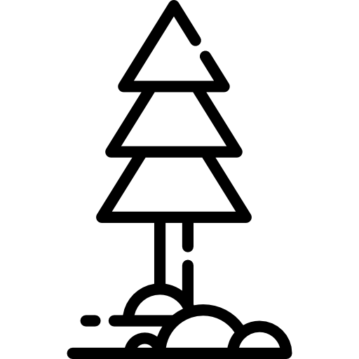 소나무 Special Lineal icon