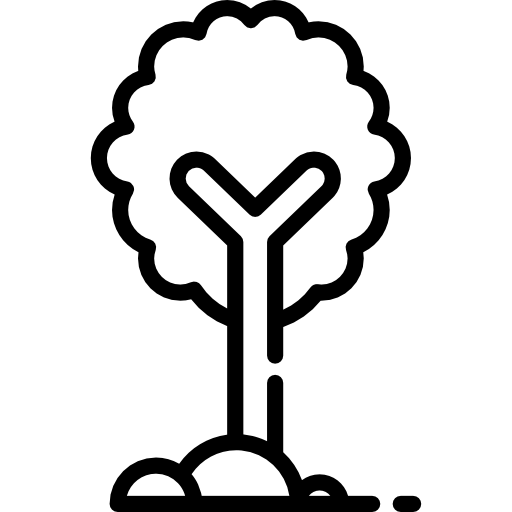 arbre Special Lineal Icône
