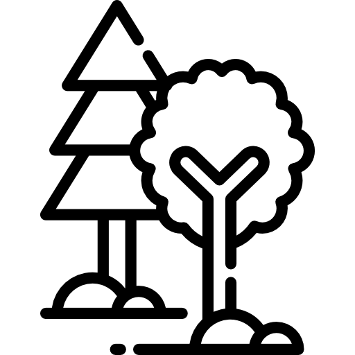 Дерево Special Lineal иконка