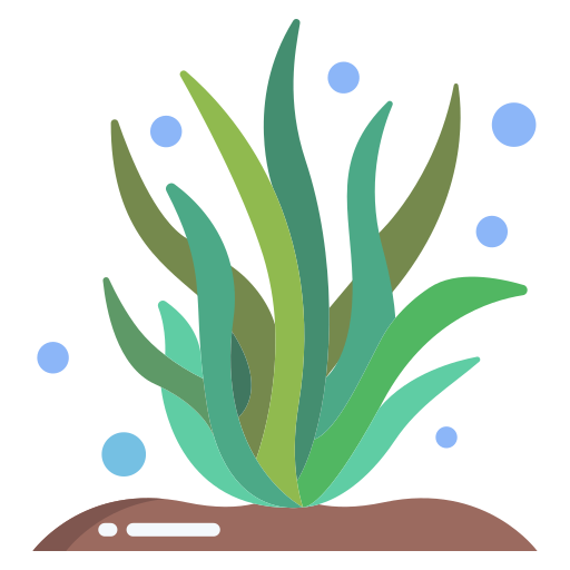 Seaweed Icongeek26 Flat icon