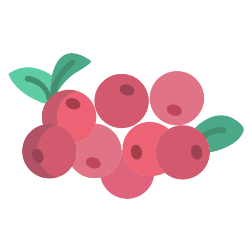 cranberry Icongeek26 Flat icoon