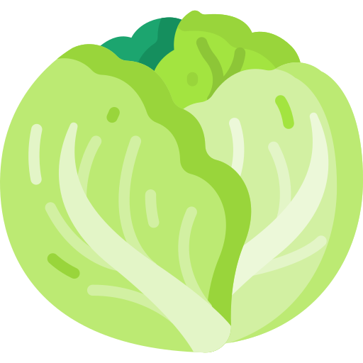 Cabbage Special Flat icon