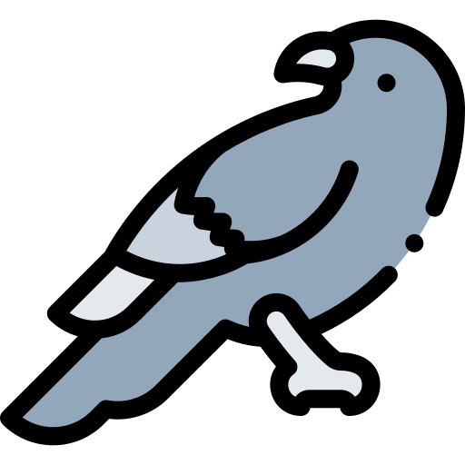Crow Detailed Rounded Lineal color icon