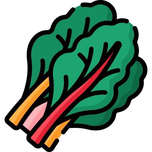 Chard Special Lineal color icon