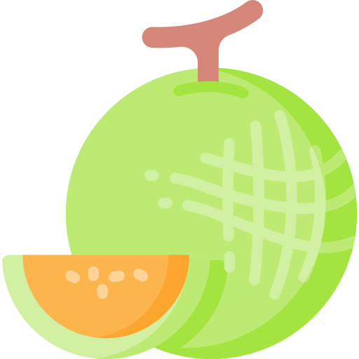 melon Special Flat Icône