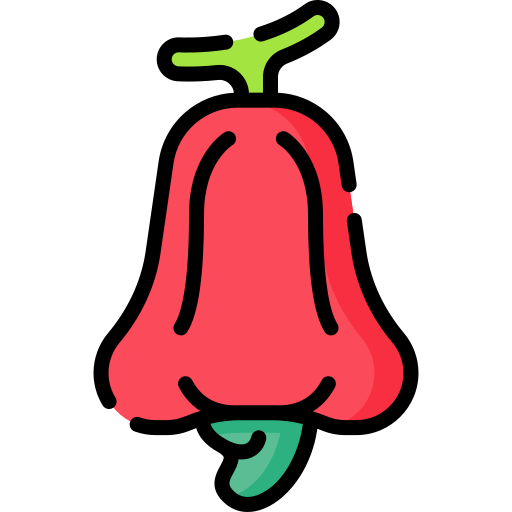 Cashew Special Lineal color icon