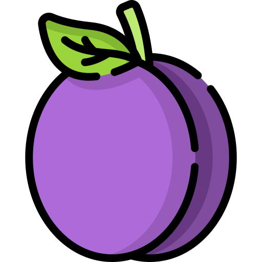 Plum Special Lineal color icon