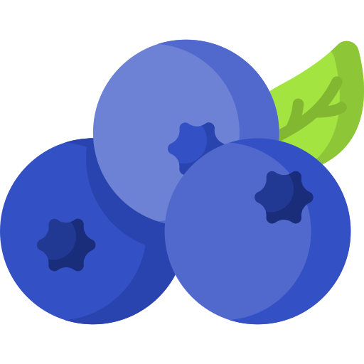 Blueberry Special Flat icon