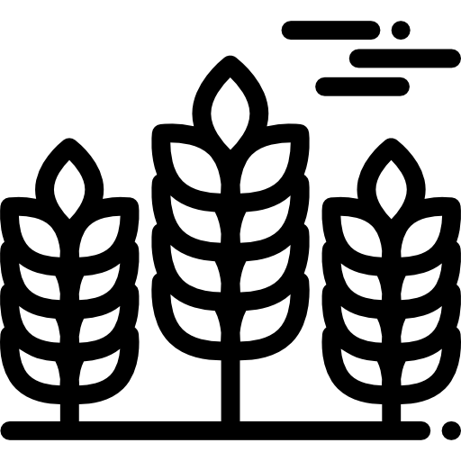 Wheat Detailed Rounded Lineal icon