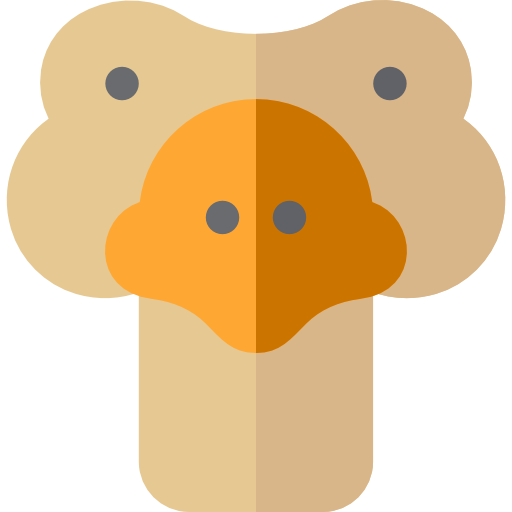 struisvogel Basic Rounded Flat icoon