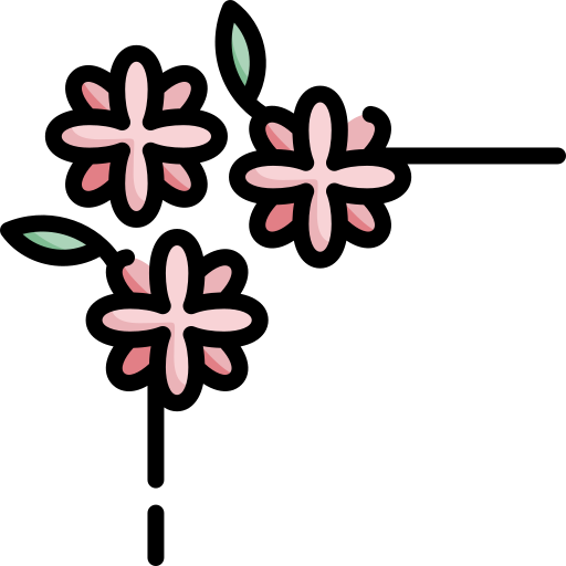 Daisy Special Lineal color icon