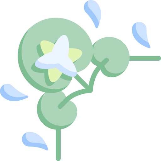 Water lily Special Flat icon