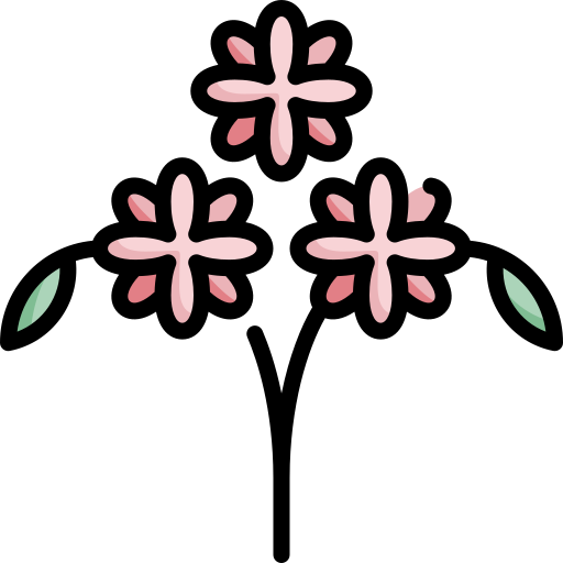 Daisy Special Lineal color icon