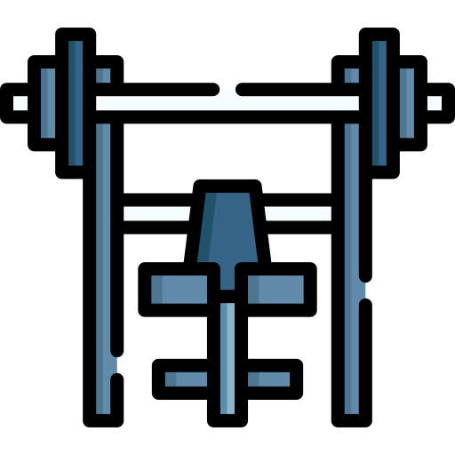 Gym Special Lineal color icon
