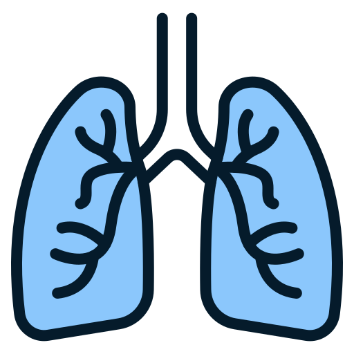 polmoni Generic Fill & Lineal icona