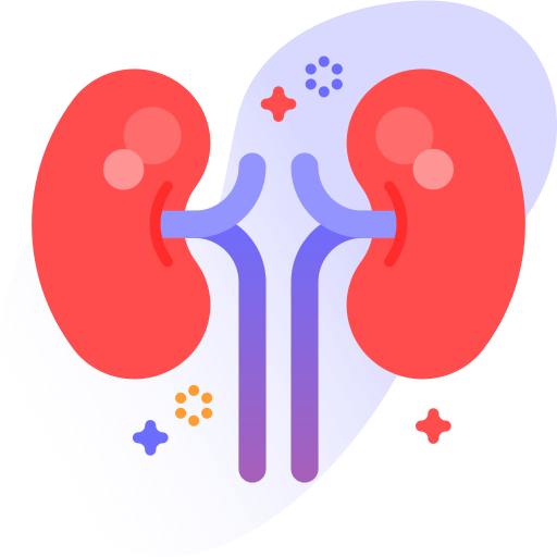 Kidney Special Ungravity Gradient icon