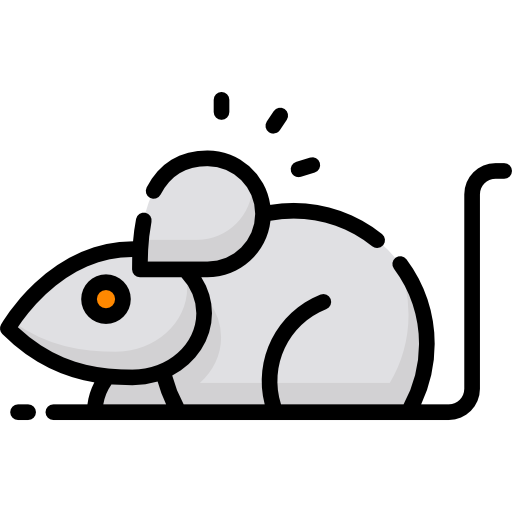 생쥐 Special Lineal color icon