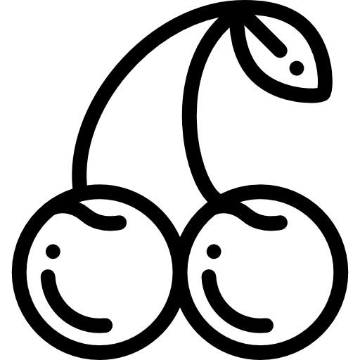 체리 Detailed Rounded Lineal icon