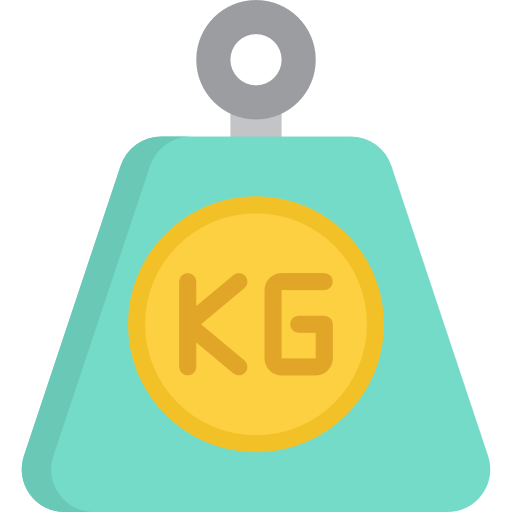 Weight Special Flat icon