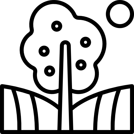 Árbol de frutas Special Lineal icono